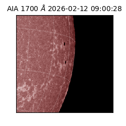 saia - 2026-02-12T09:00:28.722000