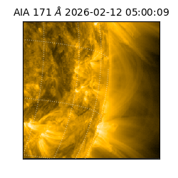 saia - 2026-02-12T05:00:09.343000