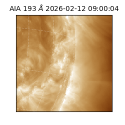 saia - 2026-02-12T09:00:04.843000