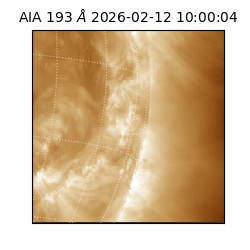 saia - 2026-02-12T10:00:04.843000