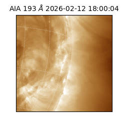 saia - 2026-02-12T18:00:04.843000