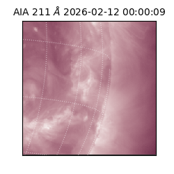 saia - 2026-02-12T00:00:09.631000