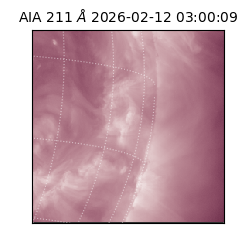 saia - 2026-02-12T03:00:09.626000