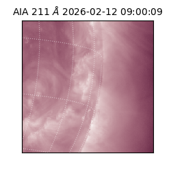 saia - 2026-02-12T09:00:09.626000
