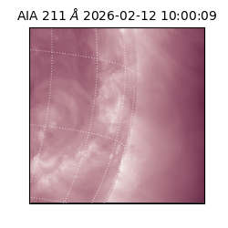 saia - 2026-02-12T10:00:09.626000