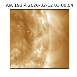 saia - 2026-02-12T03:00:04.843000