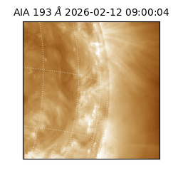 saia - 2026-02-12T09:00:04.843000