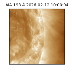 saia - 2026-02-12T10:00:04.843000