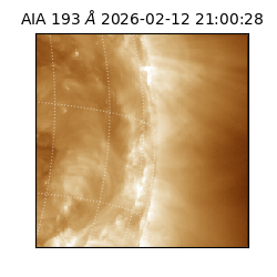 saia - 2026-02-12T21:00:28.835000