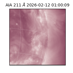 saia - 2026-02-12T01:00:09.632000