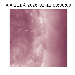 saia - 2026-02-12T09:00:09.626000