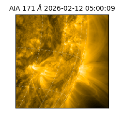 saia - 2026-02-12T05:00:09.343000