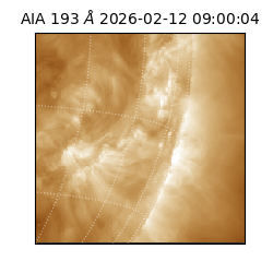 saia - 2026-02-12T09:00:04.843000