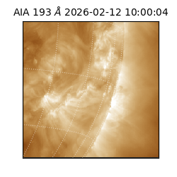 saia - 2026-02-12T10:00:04.843000