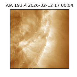 saia - 2026-02-12T17:00:04.843000