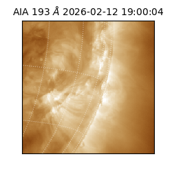 saia - 2026-02-12T19:00:04.843000