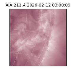 saia - 2026-02-12T03:00:09.626000