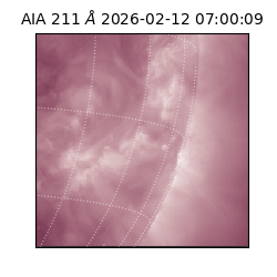 saia - 2026-02-12T07:00:09.619000