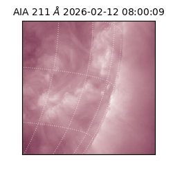 saia - 2026-02-12T08:00:09.619000