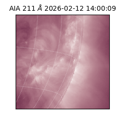 saia - 2026-02-12T14:00:09.618000