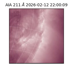 saia - 2026-02-12T22:00:09.618000