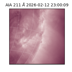 saia - 2026-02-12T23:00:09.622000