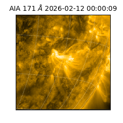 saia - 2026-02-12T00:00:09.343000