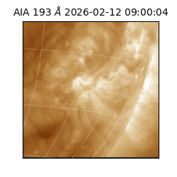 saia - 2026-02-12T09:00:04.843000