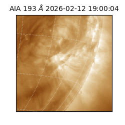 saia - 2026-02-12T19:00:04.843000