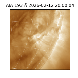 saia - 2026-02-12T20:00:04.835000