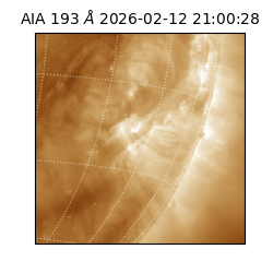 saia - 2026-02-12T21:00:28.835000