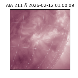 saia - 2026-02-12T01:00:09.632000