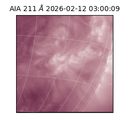 saia - 2026-02-12T03:00:09.626000