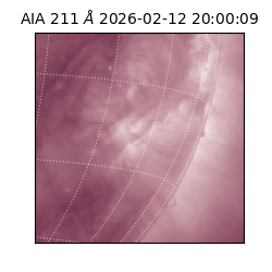 saia - 2026-02-12T20:00:09.618000