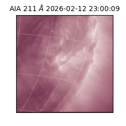 saia - 2026-02-12T23:00:09.622000