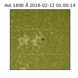 saia - 2026-02-12T01:00:14.126000