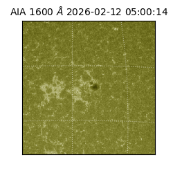 saia - 2026-02-12T05:00:14.122000