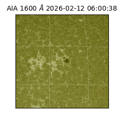 saia - 2026-02-12T06:00:38.125000