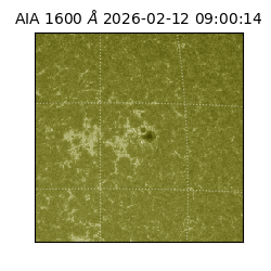 saia - 2026-02-12T09:00:14.131000