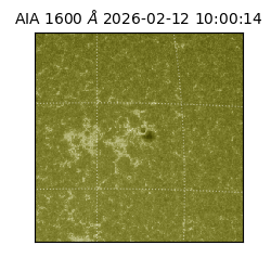 saia - 2026-02-12T10:00:14.132000