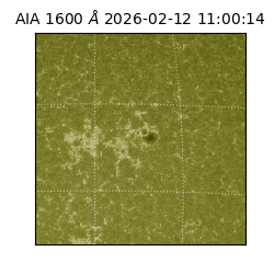 saia - 2026-02-12T11:00:14.132000