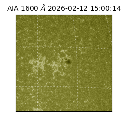 saia - 2026-02-12T15:00:14.126000