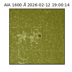 saia - 2026-02-12T19:00:14.129000