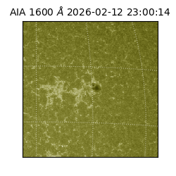 saia - 2026-02-12T23:00:14.131000