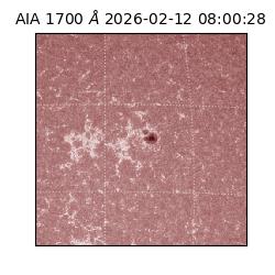 saia - 2026-02-12T08:00:28.720000