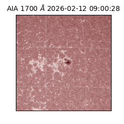 saia - 2026-02-12T09:00:28.722000