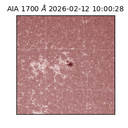 saia - 2026-02-12T10:00:28.709000