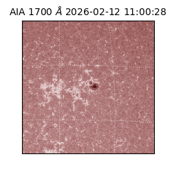 saia - 2026-02-12T11:00:28.709000