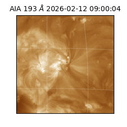 saia - 2026-02-12T09:00:04.843000