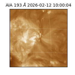 saia - 2026-02-12T10:00:04.843000